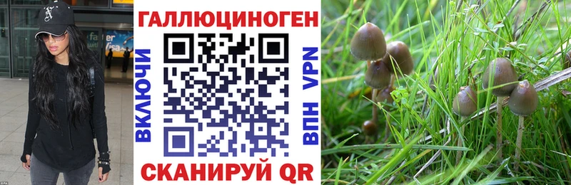 Купить закладки  Кисловодск  Галлюциногенные грибы MAGIC MUSHROOMS 