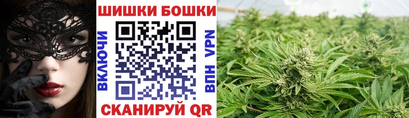 Канабис ГИДРОПОН  Купить где  Кисловодск 